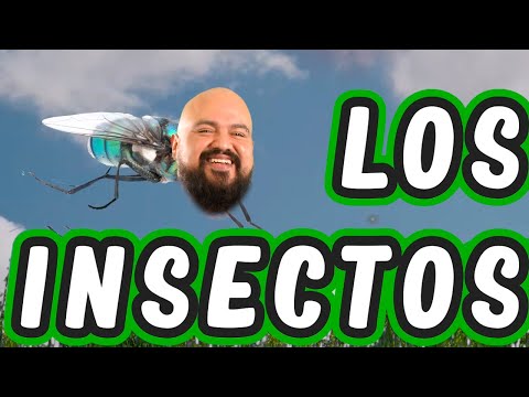 Insects - The Tobi