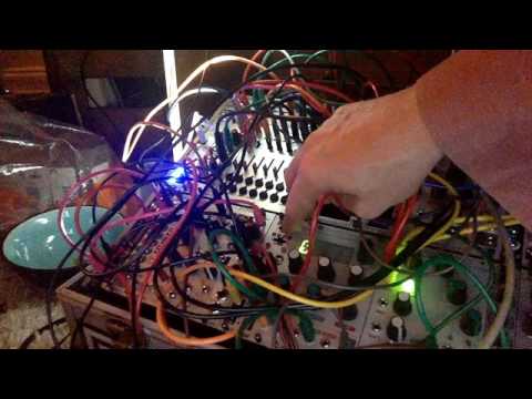 intellijel shifty testing