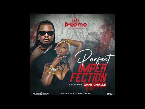 Dj Cosmo Ft Zani Challe - Perfect Imperfection {Official Audio}