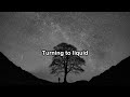 The Creatures - Untiedundone - karaoke