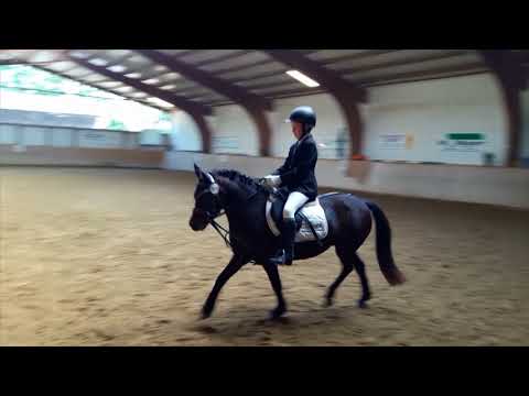 Reitturnier Zollenreute 2017