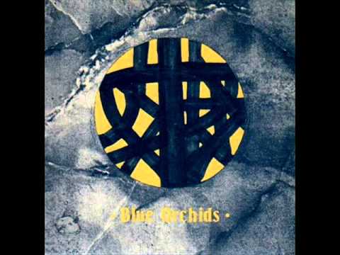 BLUE ORCHIDS work 1981