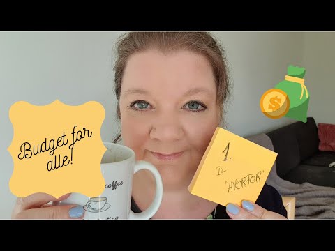 Budget for begyndere | Motivation | Budgetserie #1