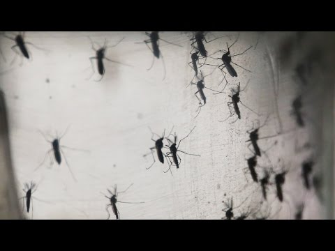 It Looks Like Zika Numbers Have Tripled In The US In One Week