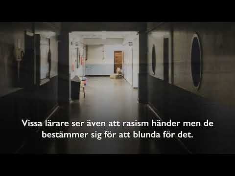 Skolor borde jobba mycket mer mot rasism