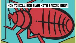 How to kill bed bugs with baking soda