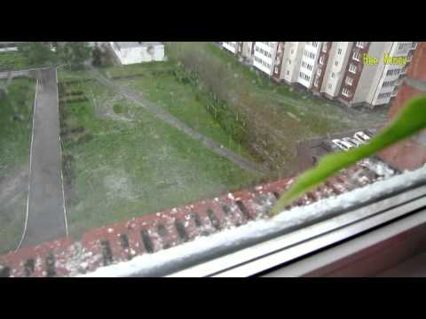 Завтра будет лето 