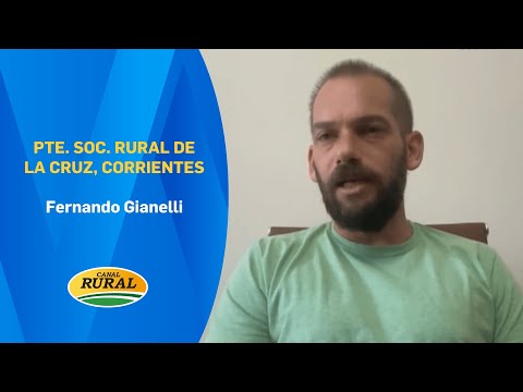 Fernando Gianelli | Pte. Soc. Rural de La Cruz, Corrientes | 13/01/26 | MV