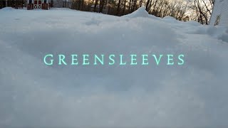 Holiday Violin Video playing Greensleeves
