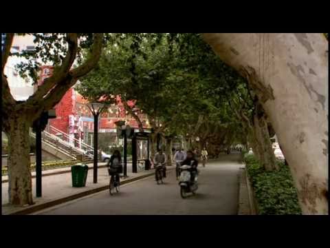 The War of the World - The Icebox