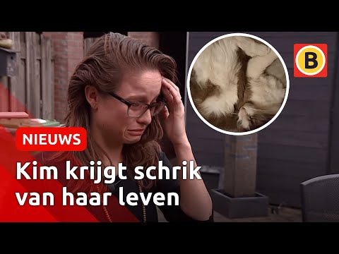 , title : '‘Ze hebben onze kat vermoord... opgehangen’ | Omroep Brabant'