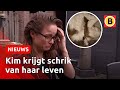 ‘Ze hebben onze kat vermoord... opgehangen’ | Omroep Brabant