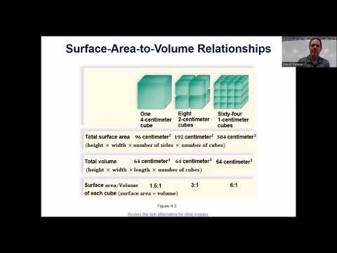 Bio 111 Chapter 4 Cell Structure and Function