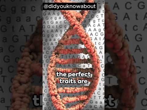 Genetic Engineering Ethics Designer Babies Unveiled  #science #babymaking  #curiosity