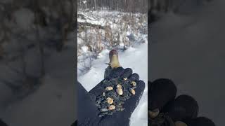 “Close your eyes and turn your face into the wind..Suddenly, you know you are alive.” Vera Nazarian