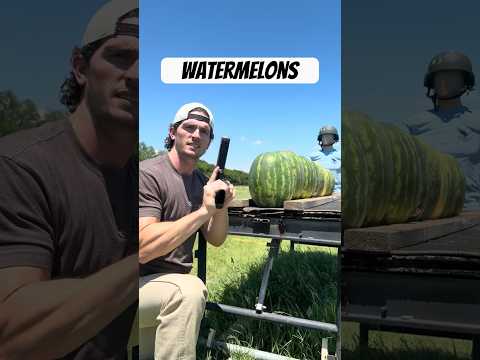 How Many Watermelons Does it Take to Stop a Bullet?