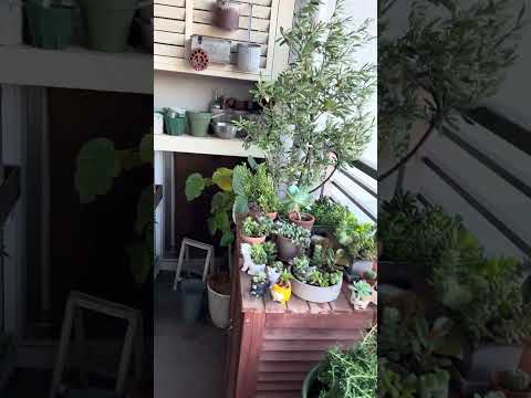 jardiniere-design-grise-plantes-création-cjcj jardinière design