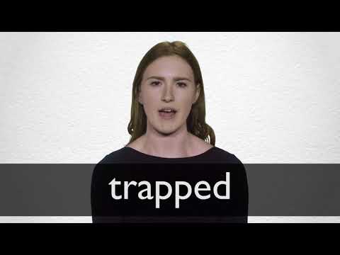 TRAPPED Synonyms | Collins English Thesaurus
