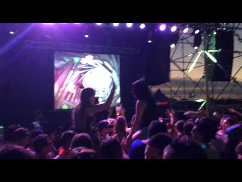Pulparty Dannic 2014 / (Wake Me Up Vocal) Pollaroid - Thomas Newson