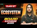 Ecosystem One Shot In 30 Mins CBSE Class 12th Biology Important Questions For Board Exam 2025