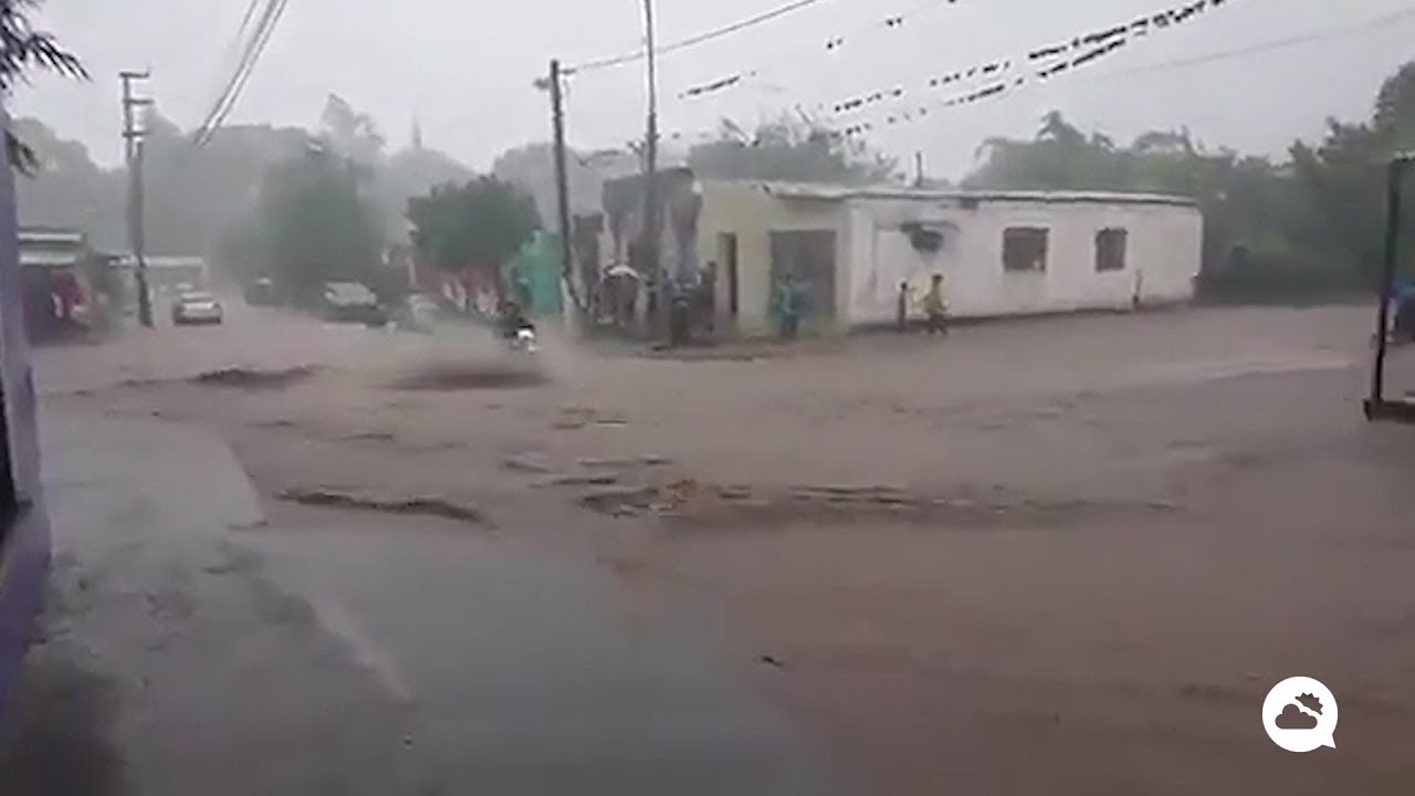 youtube video id=EGK-e_DO9GQ