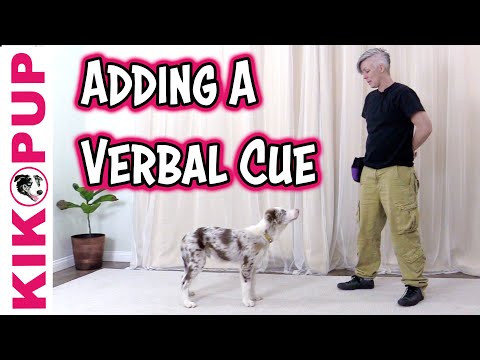 What is Clicker Training