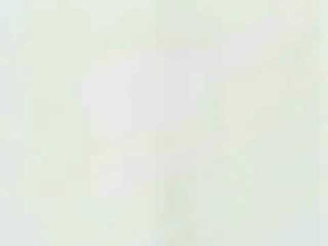 kiba and kankuro vs sakon and ukon