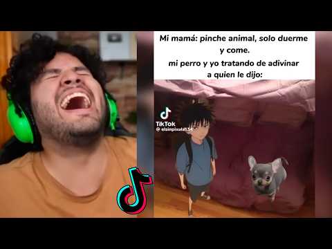 TIK TOKS TAN XD que SALDRAS DE LATAM ✈️