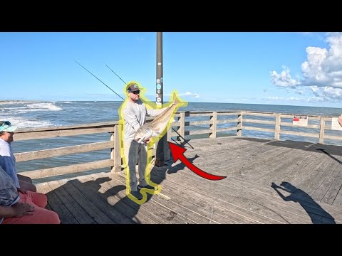 GIANT Red Drum Caught in the Outer Banks (Avon Fishing Pier)