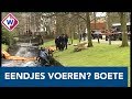 Boete van 95 euro voor eendjes voeren in Den Haag - OMROEP WEST