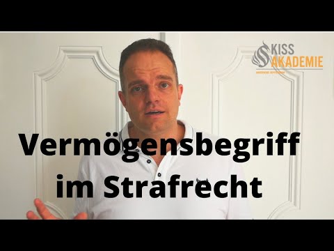 The concept of property in criminal law