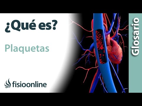 PLAQUETAS | Qué son, componentes, ubicación, funciones y enfermedades