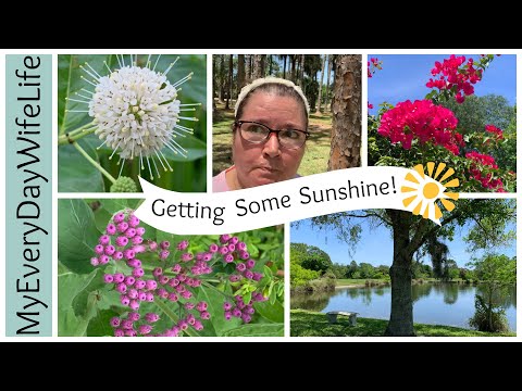 🍃Walk & Talk Vlog || Walk 30 Days Challenge Week #4 🍃