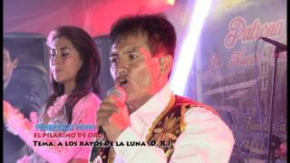 2   A LOS RAYOS DE LA LUNA - EL PILARINO DE ORO