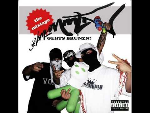 Die Vamummtn feat. MOZ - Mia stehn drüba