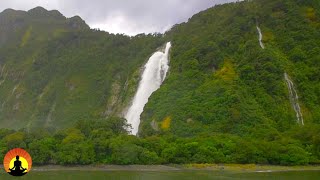 🔴Deep Sleep Music 24/7, Calming Music, Relaxing Sleep Music, Delta Waves, Sleeping Music, Relax