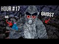 I spent 24 hours in GORILLA TAG GHOST SERVERS!