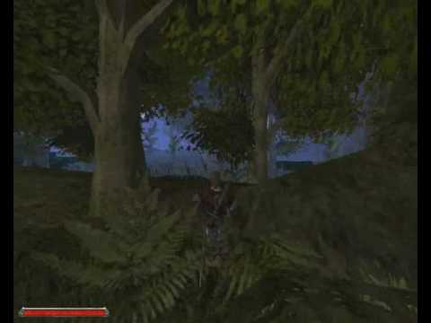 Lets play Gothic 2 DNDR (German) Part 91