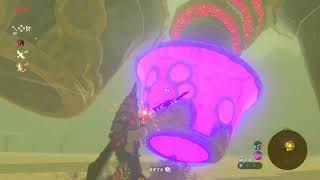 ゼルダbotw part4 ナボリス編