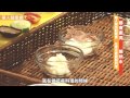 職人級派對輕食　在家也能輕鬆料理