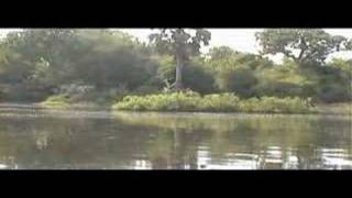 preview picture of video 'boat safari near Nile safari lodge'