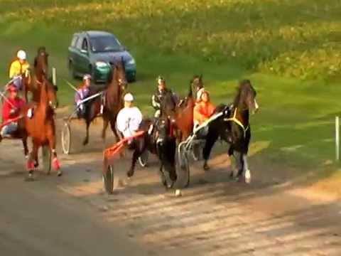 "VIII kasacka trka" (KK "Vranac"); 1600 m;10.10.2010.