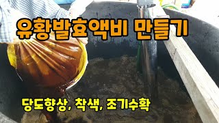 유황발효액비 만들기 당도향상, 착색, 조기수확 등 에 효과가 좋습니다.