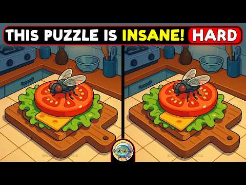 🐢🧩 Spot 3 Differences | Test Your Sharp Eyes 🧩🐢 | Quizonaut Turtle