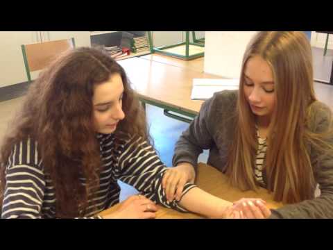 Cutter, Lillevang Skole, 8.A