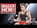 Seated Barbell Curls Build Bigger Biceps?! | DUMB OR SMART?