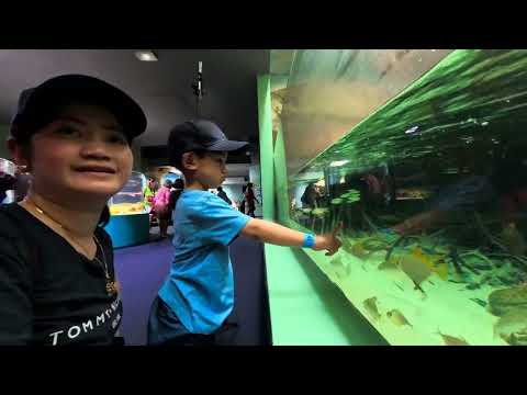 Thumbnail for Day 6 - (Part 2 of 6) Noumea New Caledonia #insta360x5 #carnivalsplendor #newcaledonia