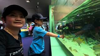 Day 6 - (Part 2 of 6) Noumea New Caledonia #insta360x5 #carnivalsplendor #newcaledonia