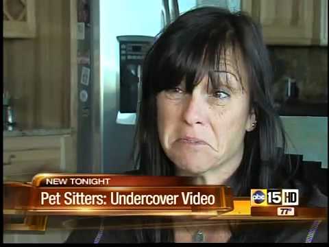 download lagu mp3 mp4 Dog Sitters Perth, download lagu Dog Sitters Perth gratis, unduh video klip Dog Sitters Perth