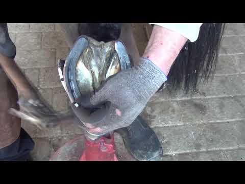 Mascalcia, la rifinitura